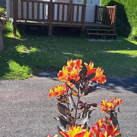 Mobile A Louer Les Sables D'olonne - Vendee Kemping La Pironnière