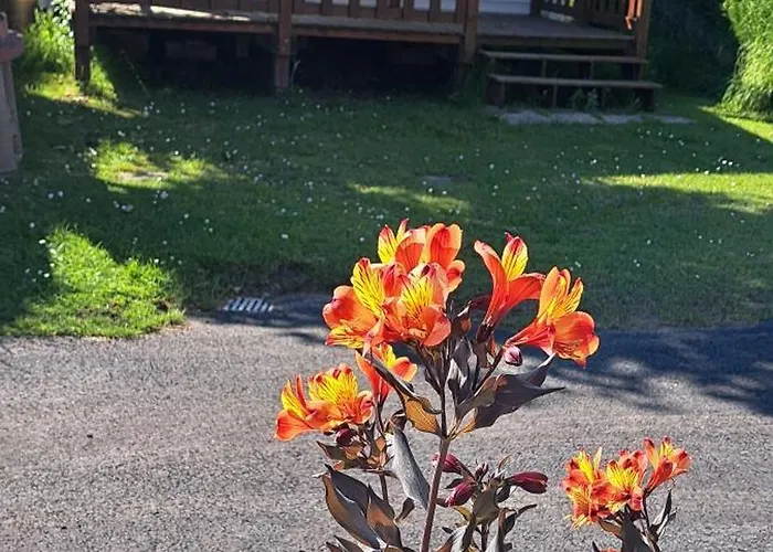 Mobile A Louer Les Sables D'olonne - Vendee 캠프장 La Pironnière